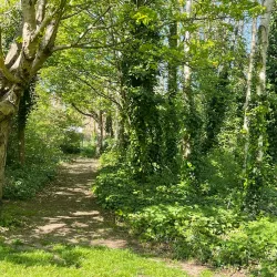 Inwood Park - Hounslow