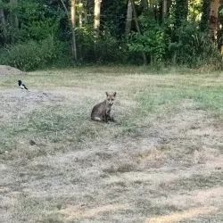 Inwood Park - Hounslow