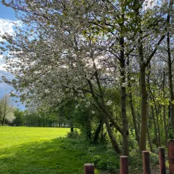 Inwood Park - Hounslow