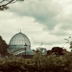 Syon Park - Hounslow