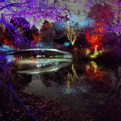 Syon Park - Hounslow