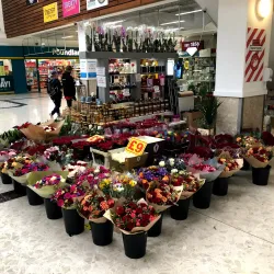 Treaty Centre - Hounslow