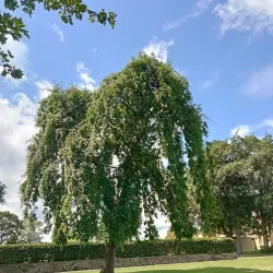 Ravensknowle Park - Huddersfield