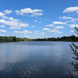 Hinchingbrooke Country Park - Huntingdon