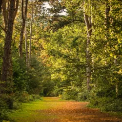 Hinchingbrooke Country Park - Huntingdon