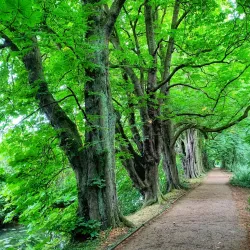 Hinchingbrooke Country Park - Huntingdon