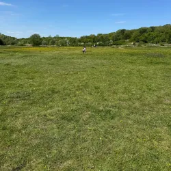 Hinchingbrooke Country Park - Huntingdon