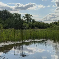 Hinchingbrooke Country Park - Huntingdon