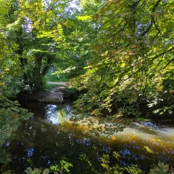 Hinchingbrooke Country Park - Huntingdon