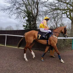 Huntingdon Racecourse - Huntingdon