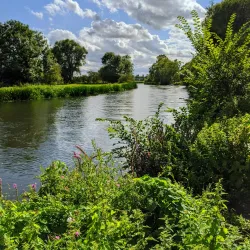Huntingdon Riverside Walk - Huntingdon