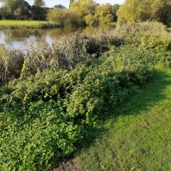 Huntingdon Riverside Walk - Huntingdon