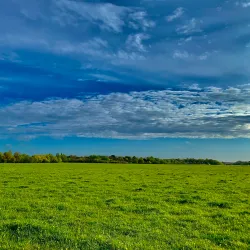 Portholme Meadow - Huntingdon