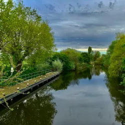Portholme Meadow - Huntingdon