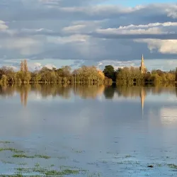 Portholme Meadow - Huntingdon