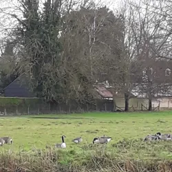 Portholme Meadow - Huntingdon