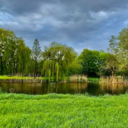 Portholme Meadow - Huntingdon