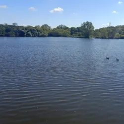 Hainault Forest Country Park - Ilford