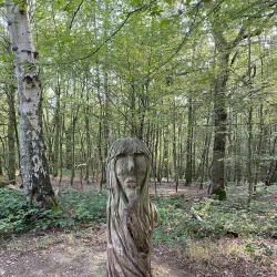 Hainault Forest Country Park - Ilford