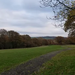 Hainault Forest Country Park - Ilford