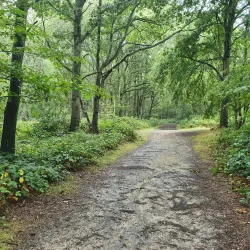 Hainault Forest Country Park - Ilford