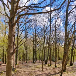 Hainault Forest Country Park - Ilford