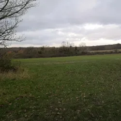 Hainault Forest Country Park - Ilford