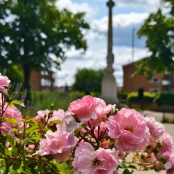 Ilford War Memorial Gardens - Ilford