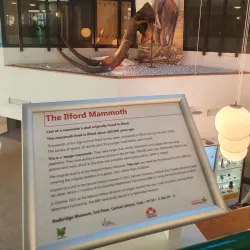 Redbridge Museum - Ilford