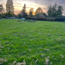 Seven Kings Park - Ilford