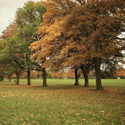 Seven Kings Park - Ilford