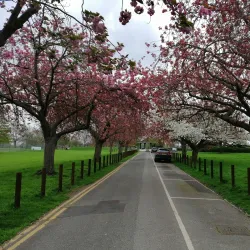 Seven Kings Park - Ilford