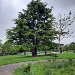 Seven Kings Park - Ilford