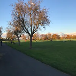 Seven Kings Park - Ilford