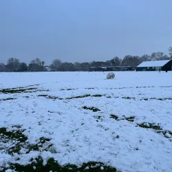 Seven Kings Park - Ilford