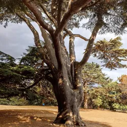 Valentines Park - Ilford