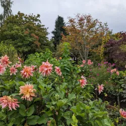 Inverness Botanic Gardens - Inverness