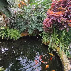 Inverness Botanic Gardens - Inverness