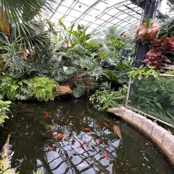 Inverness Botanic Gardens - Inverness