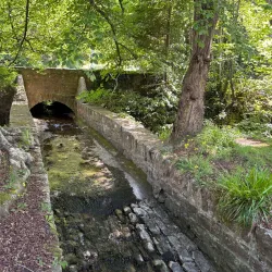 River Ness and Ness Islands - Inverness