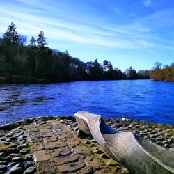 Whin Park - Inverness