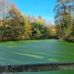 Holywells Park - Ipswich