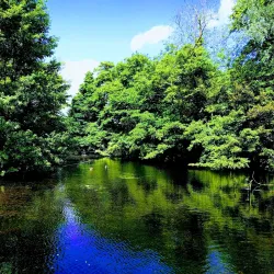 Holywells Park - Ipswich