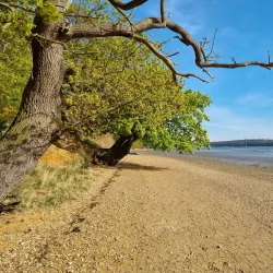 Orwell Country Park - Ipswich