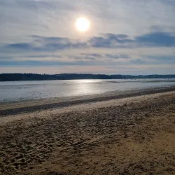 Orwell Country Park - Ipswich