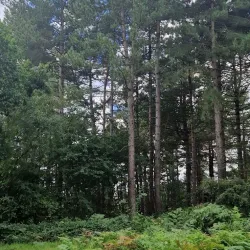 Orwell Country Park - Ipswich