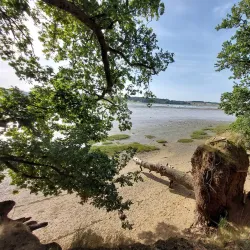 Orwell Country Park - Ipswich