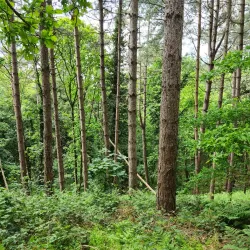 Orwell Country Park - Ipswich