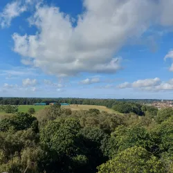 Sutton Hoo - Ipswich