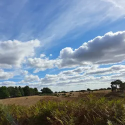 Sutton Hoo - Ipswich